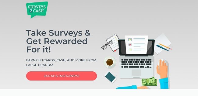 surveys